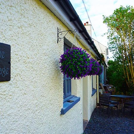 Staycation At Pine Cottage, A Newly Refurbished Holiday Cottage Goodwick Luaran gambar